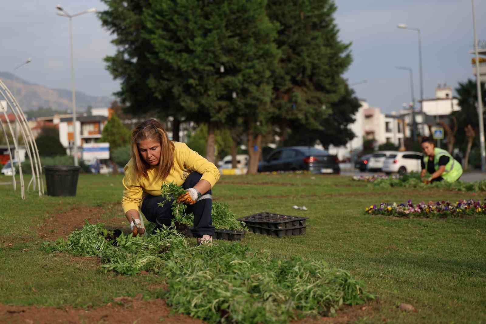 Aydın rengarenk çiçeklerle bezeniyor
