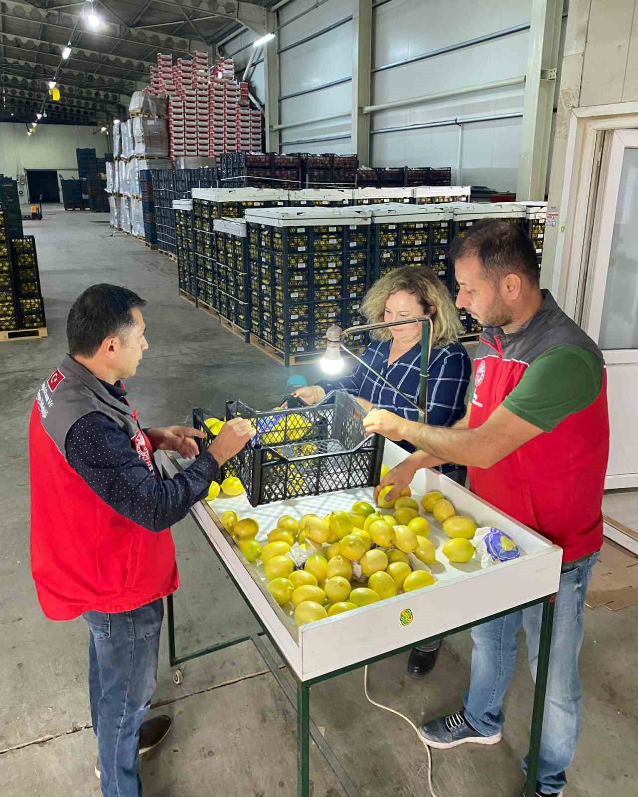 Ortaca’da ihracata giden ürünlere onay
