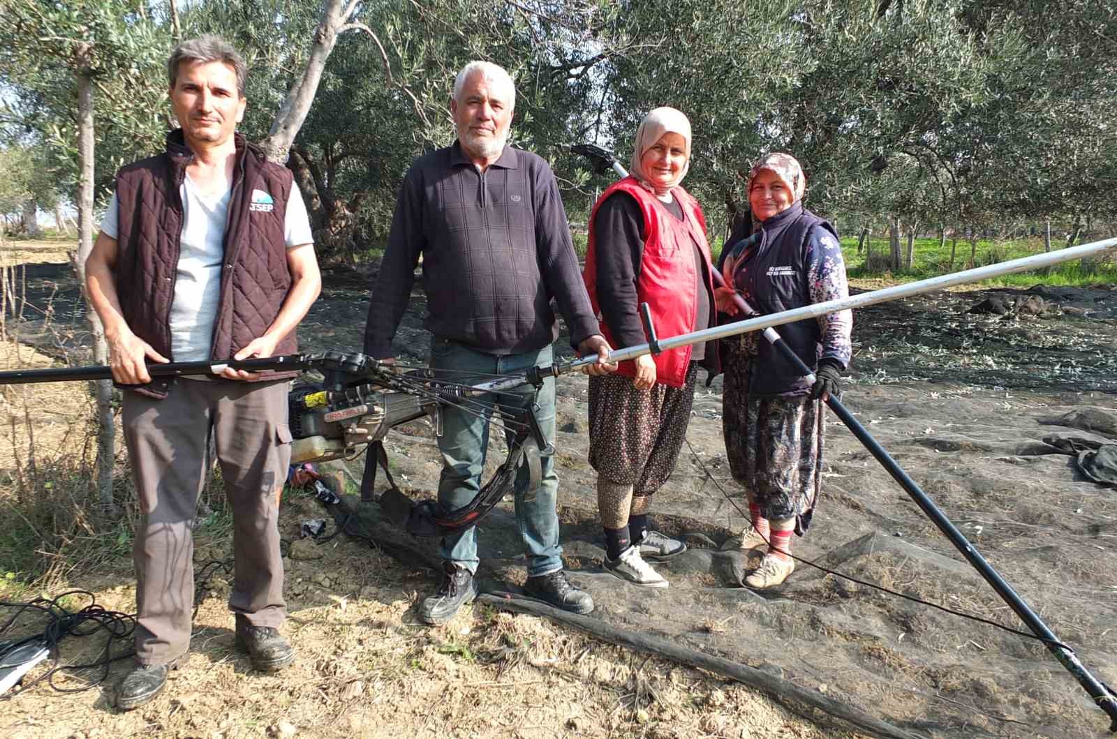 Balıkesir’de makineli hasat zeytinde verimi artırıyor