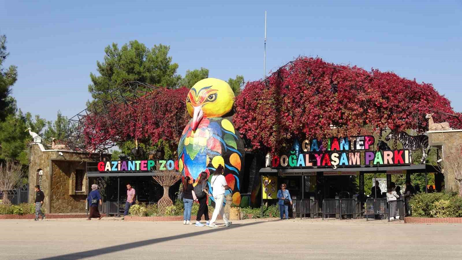 Ara tatile çıkan öğrenciler soluğu hayvanat bahçesinde aldı
