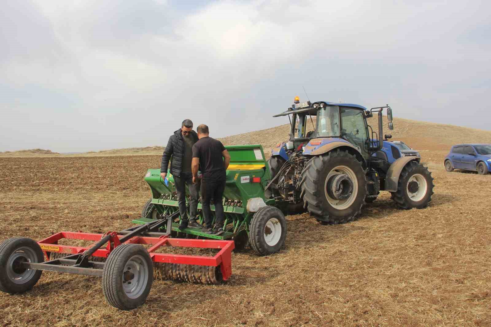 Sivas’ta 5 farklı ekmeklik buğday, pilot bölgede toprakla buluşturuldu
