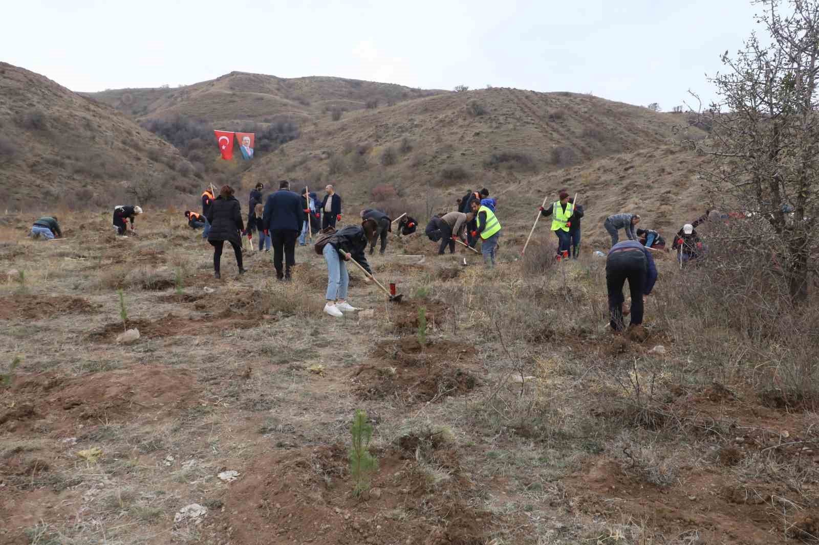 Sivas’ta 58 bin fidan toprakla buluşturuldu
