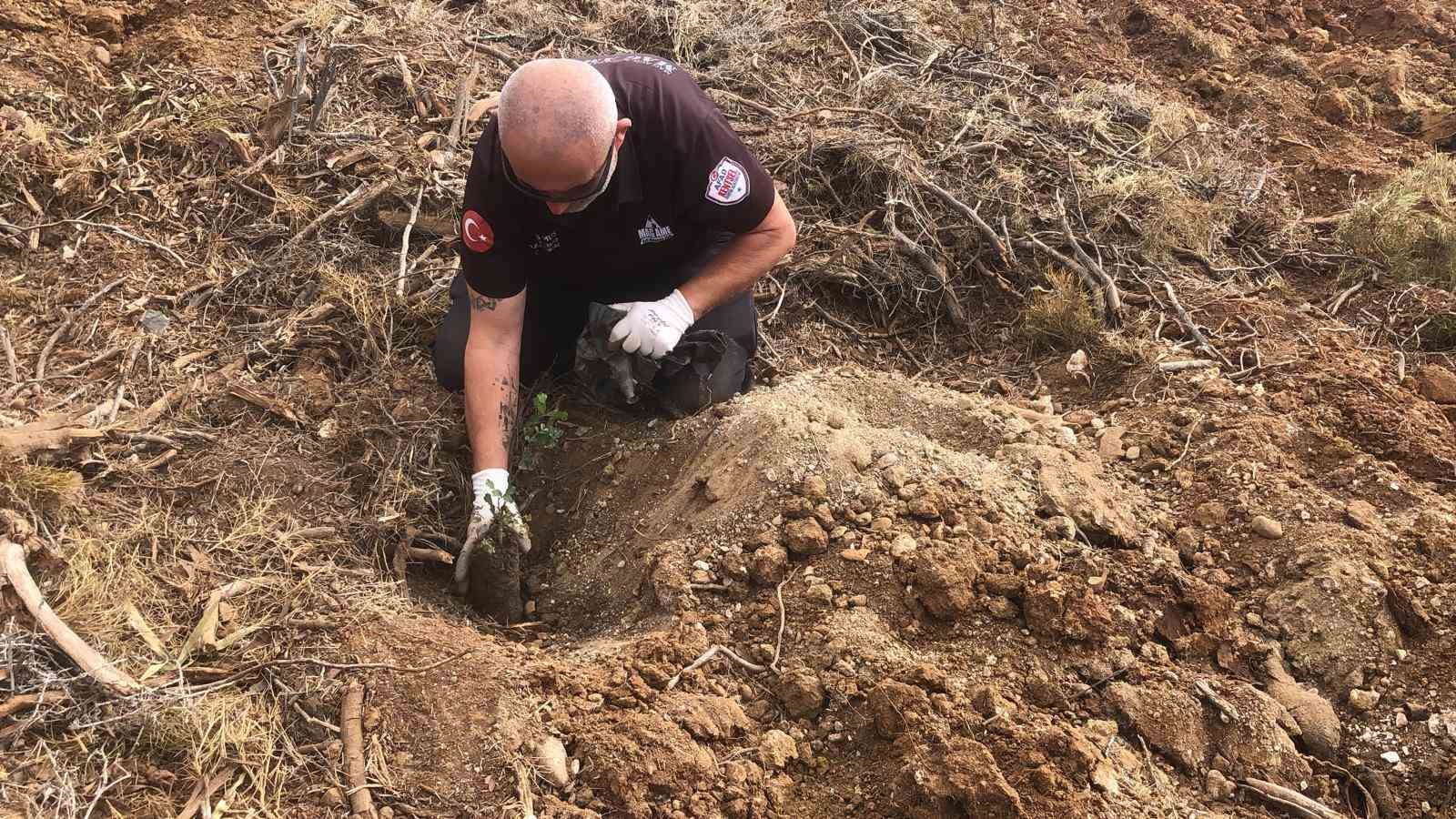 Datça’da fidanlar toprakla buluştu