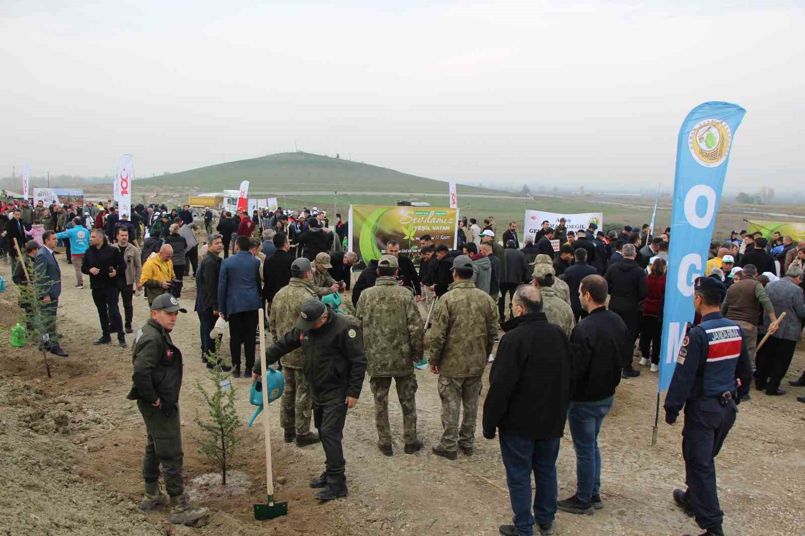 Amasya’da 4 binden fazla fidan toprakla buluştu