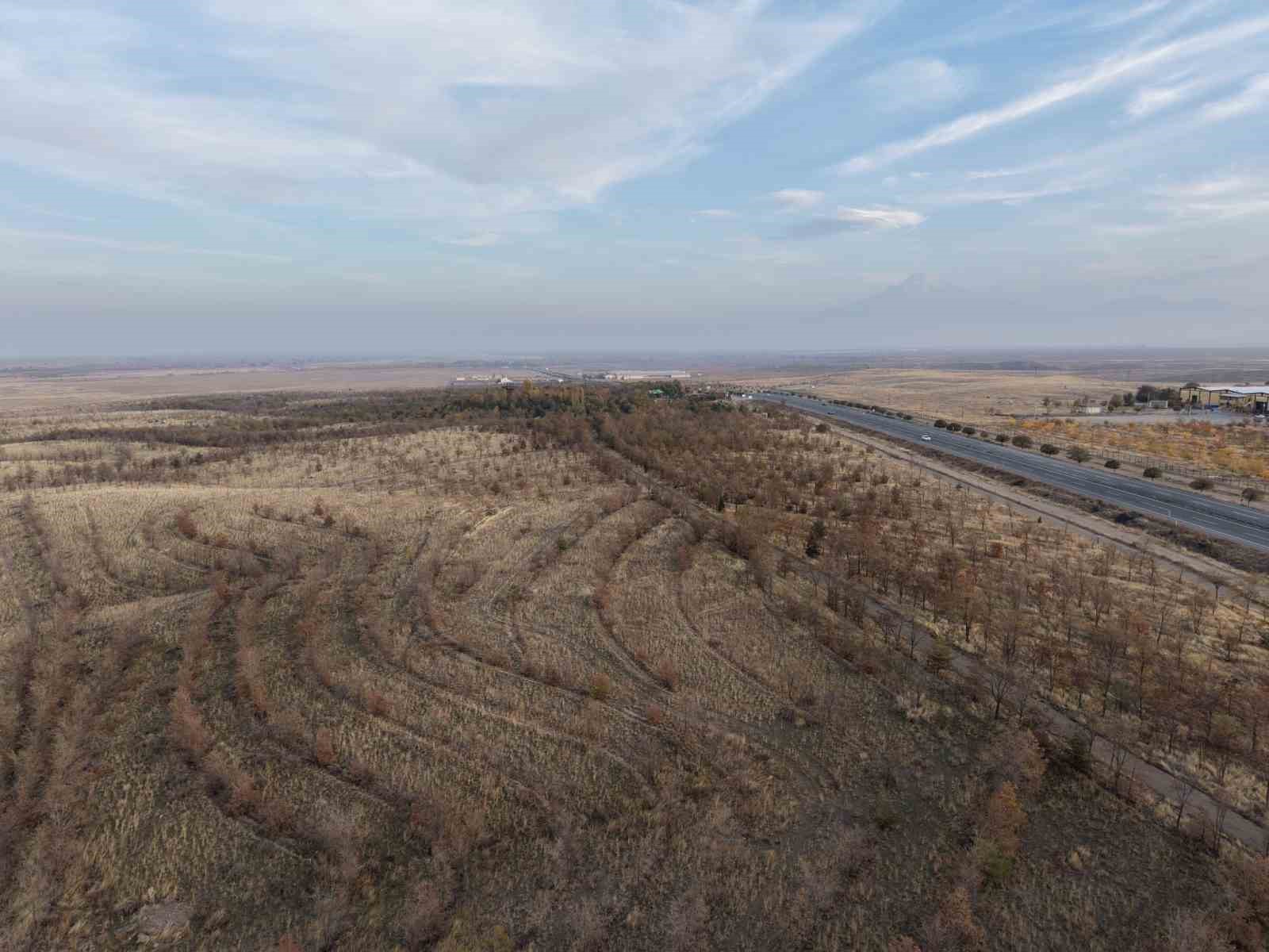 Iğdır’da fidanlar toprakla buluştu