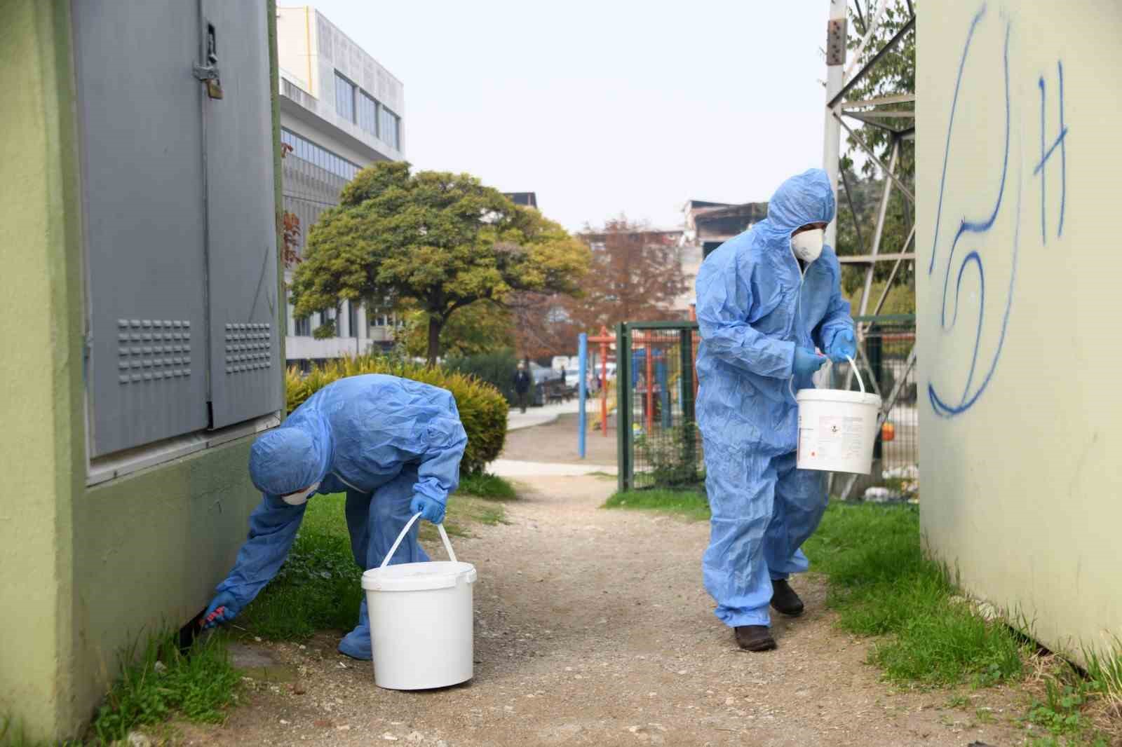 Osmangazi’de kemirgenlere karşı ilaçlama çalışması başlatıldı
