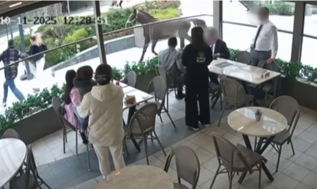 Ümraniye’de garip olay: Başıboş at vatandaşları dakikalarca kovaladı
