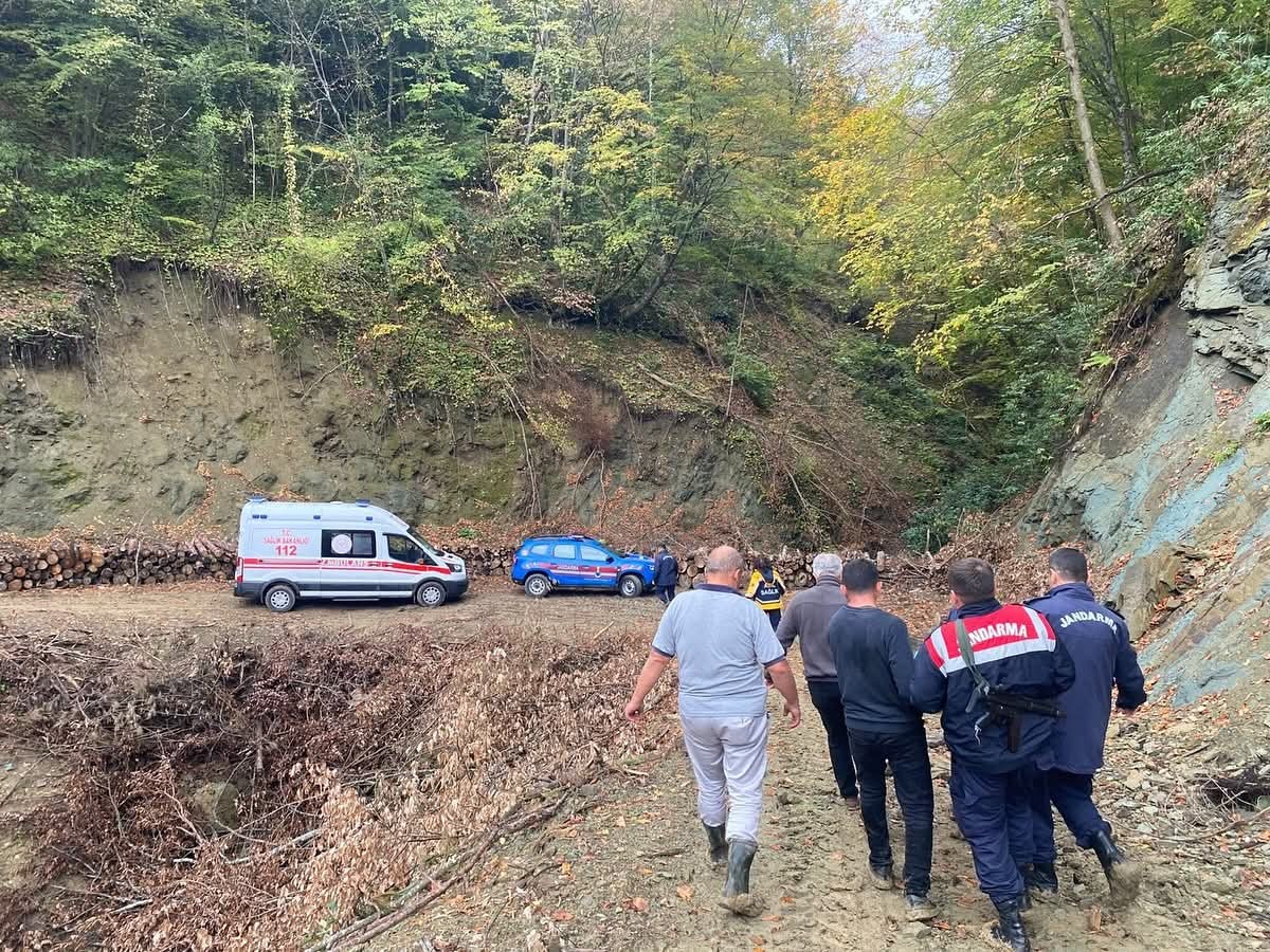 Ayının saldırısına uğrayan vatandaş için ekipler seferber oldu