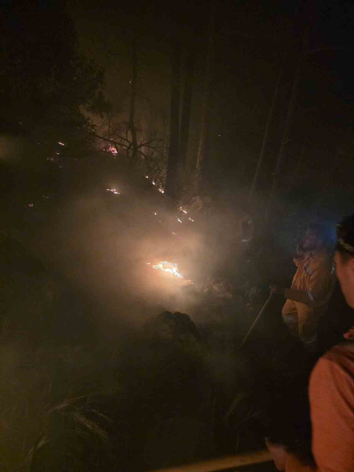 Hatay’da yıldırımın düştüğü ormanlık alanda yangın çıktı