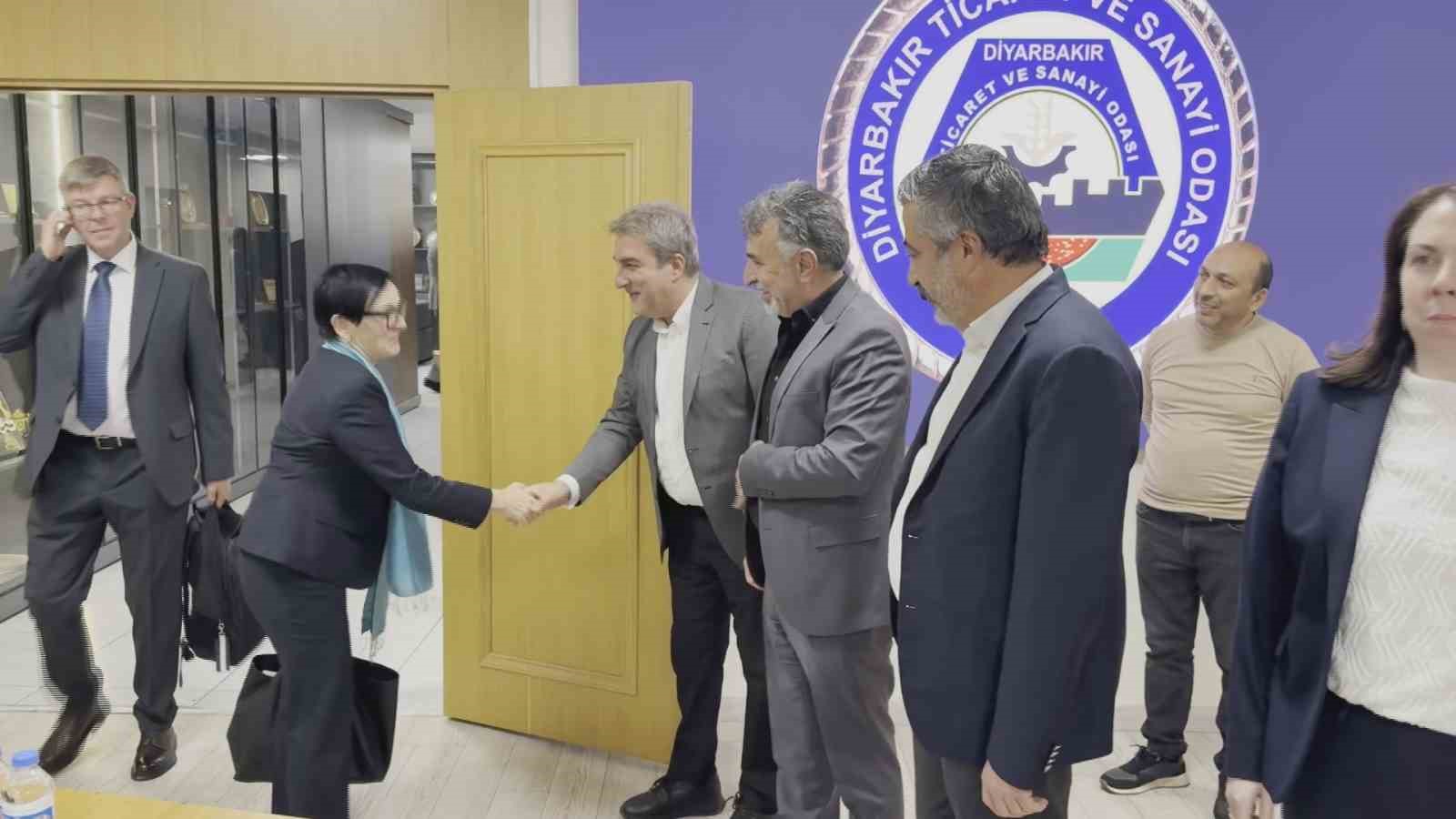 AB Türkiye Delegasyonu heyeti Diyarbakır’da