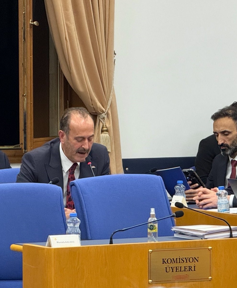 Tamer Osmanağaoğlu’ndan bütçe görüşmelerinde Aliağa vurgusu
