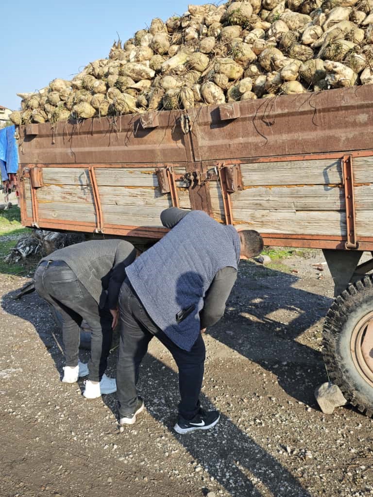 Amasya’da pancar yüklü traktör römorku devrildi, kaza anı kamerada
