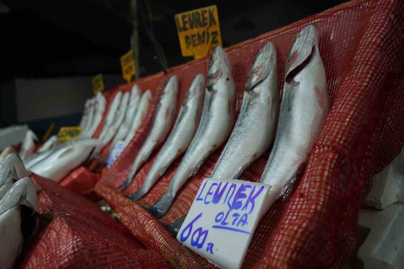 Samsun’da balık fiyatlarında son durum
