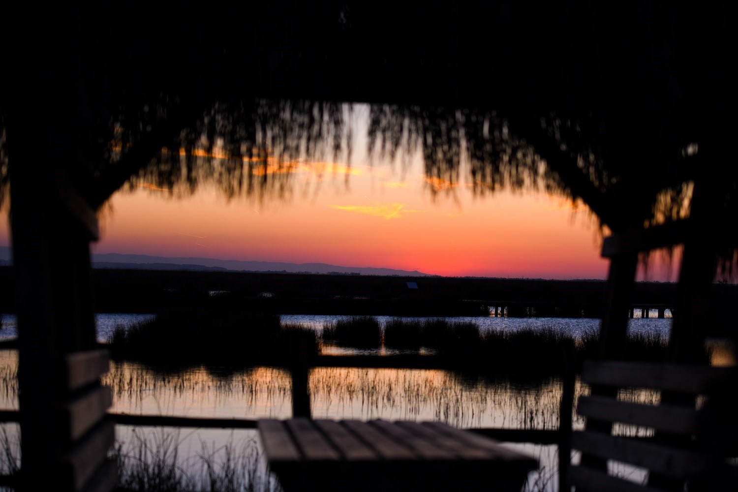 Kuş Cenneti’nde sonbahar