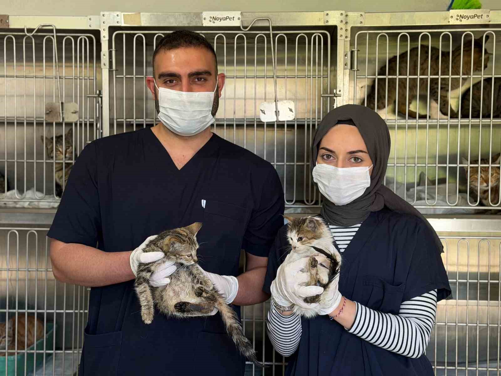 Sahipsiz Hayvan Bakımevi ve Rehabilitasyon Merkezi’nde kış hazırlıkları tamamlandı
