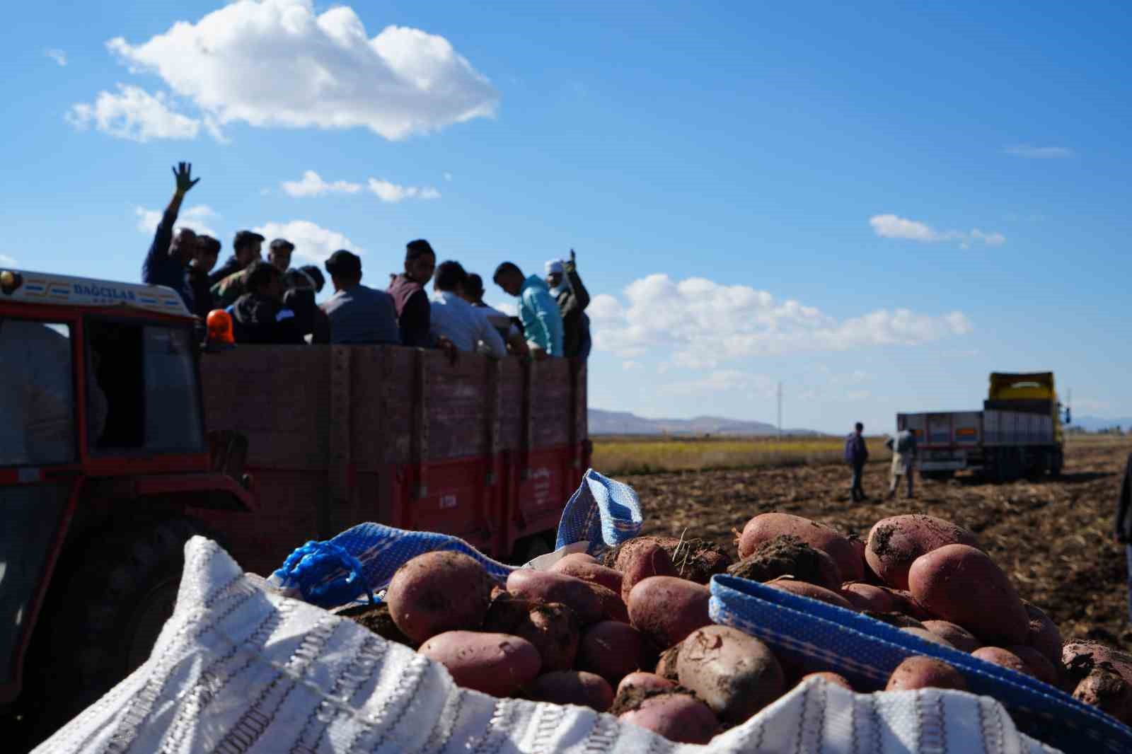 Bayburt’un Çayıryolu köyündeki patates hasadına İranlı işçiler destek veriyor
