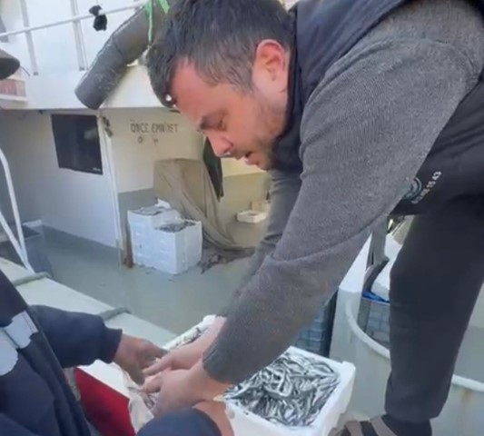 Esnafa inat, hamsiyi ücretsiz kilo kilo dağıttılar