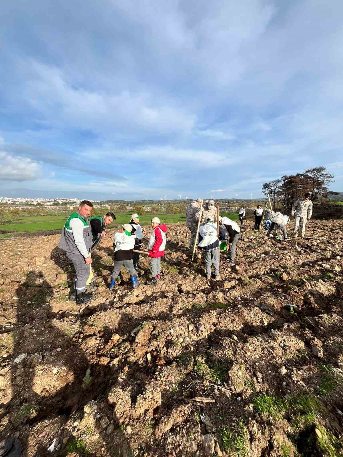 Ayvacık’ta 1500 Fıstık Çamı Fidanı Toprakla Buluşturuldu
