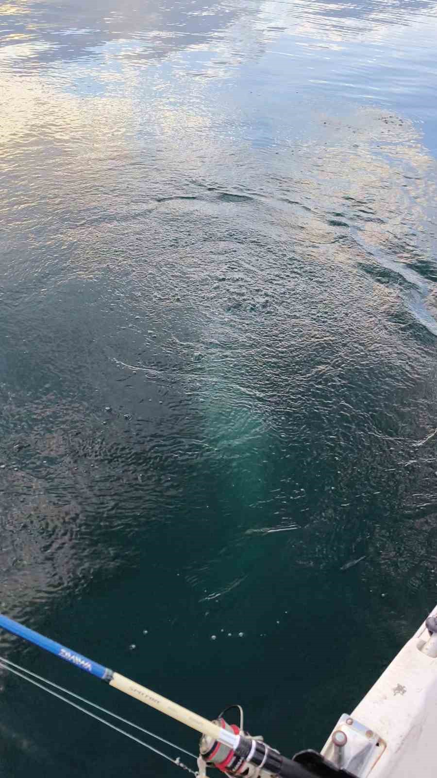 Sapanca Gölü’nde esrarengiz görüntü
