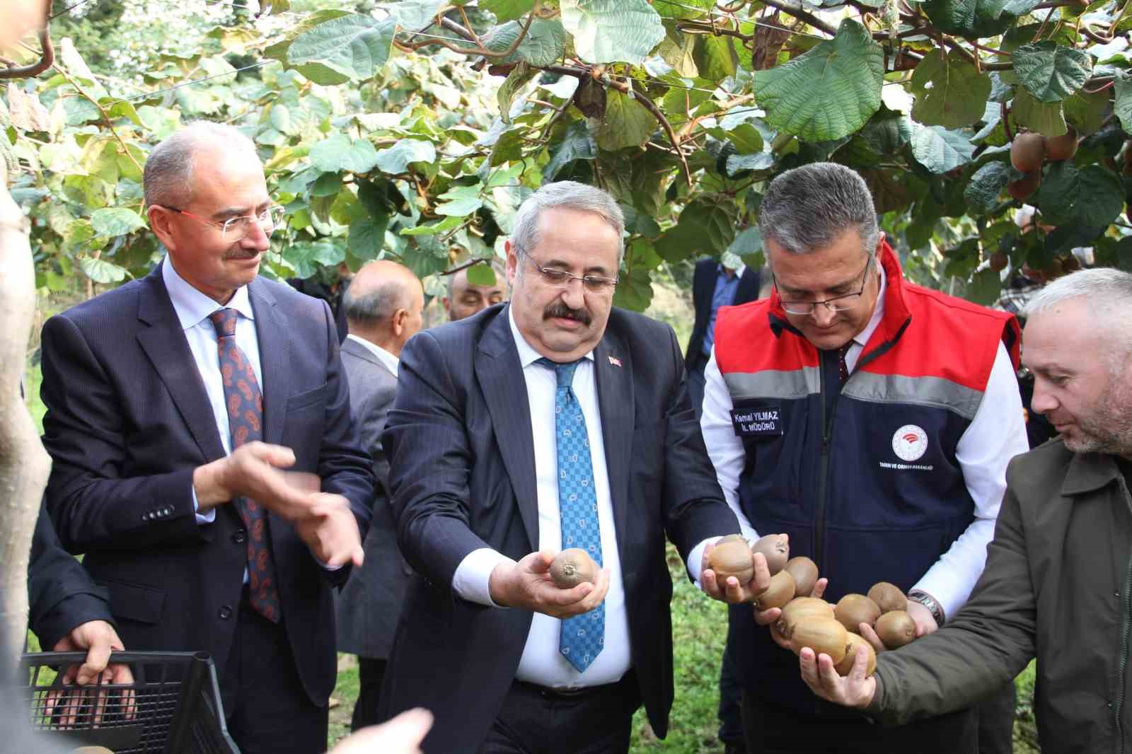 Kivide 13 bin 800 ton hasat