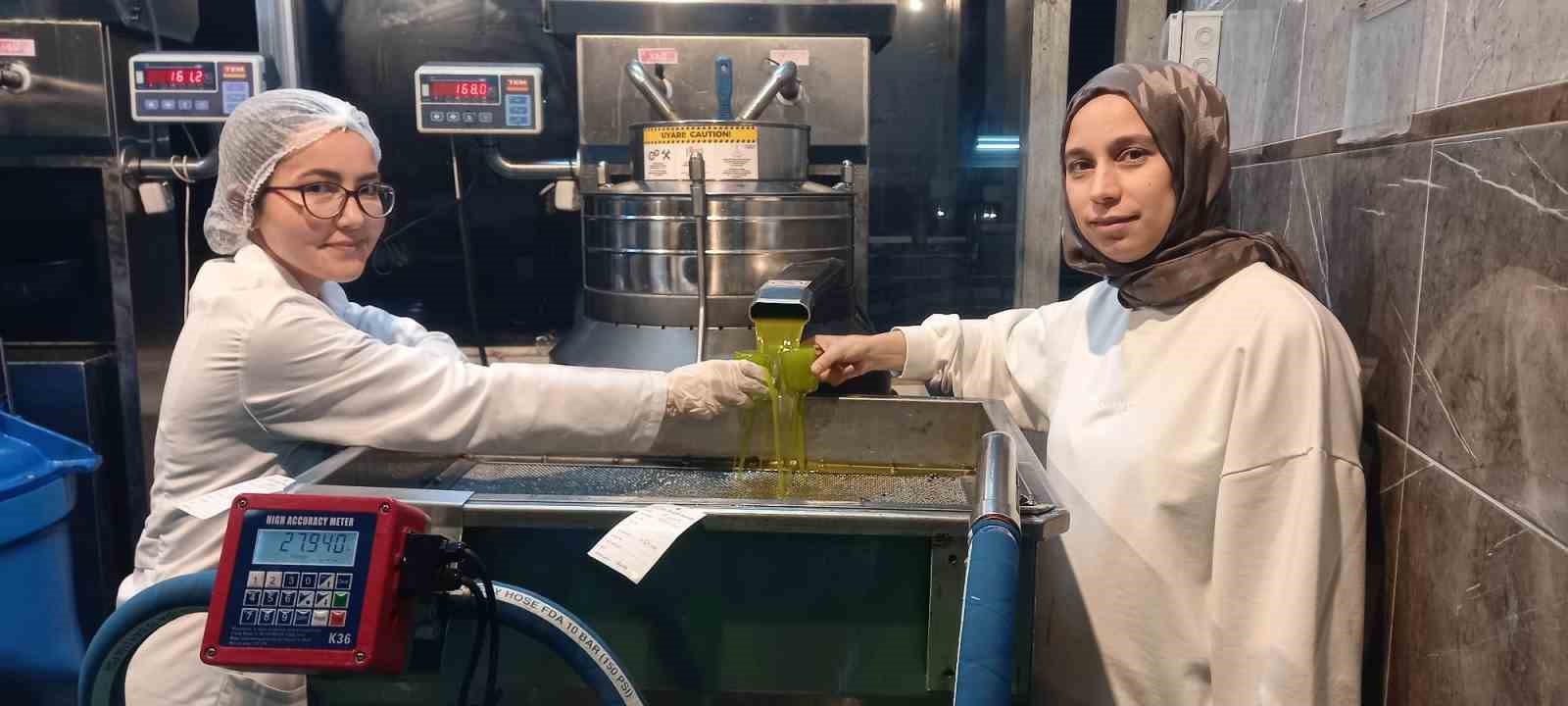 Aydın’da zeytinin yağa dönüşümü başladı
