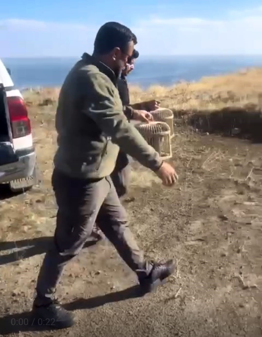 Rehabilite edilen keklikler yeniden doğayla buluştu
