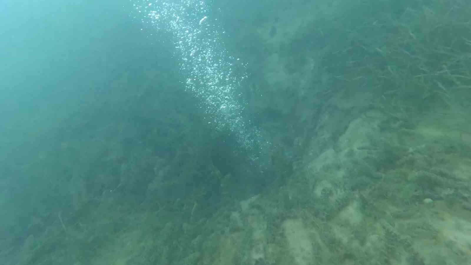 Sapanca Gölü’ndeki endişelendiren kabarcıklar su altından ve havadan görüntülendi