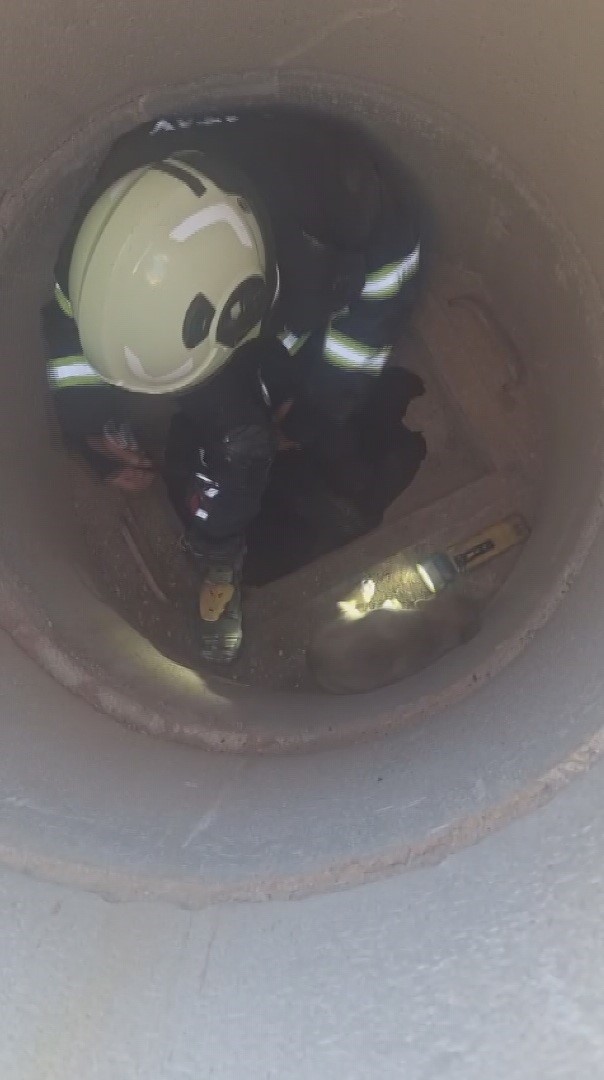 Hatay’da 6 metrelik çukurda mahsur kalan yavru köpeği itfaiye kurtardı
