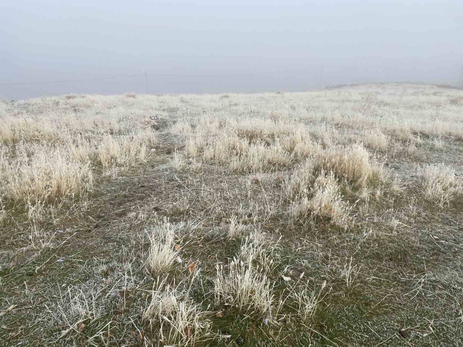 Ağrı’da kırağı etkili oldu
