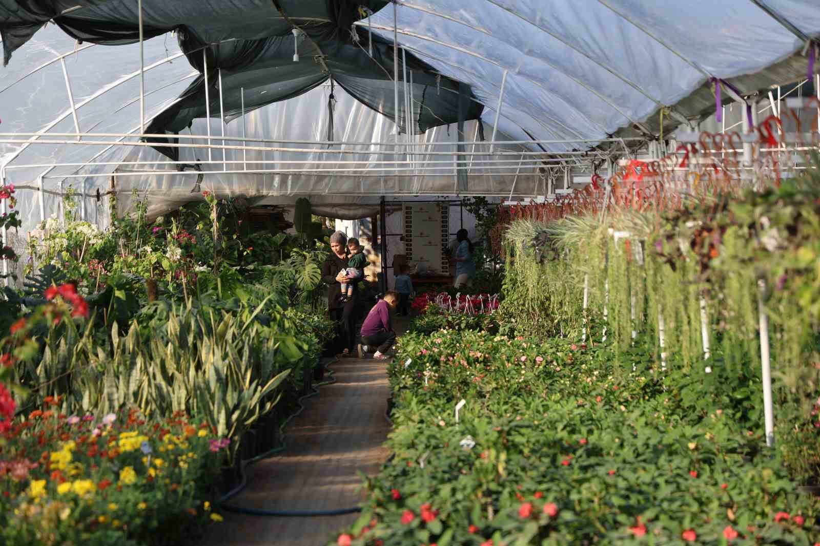 Çiçekçilerde Öğretmenler Günü yoğunluğu: Buket yerine saksı çiçekleri tercih ediliyor
