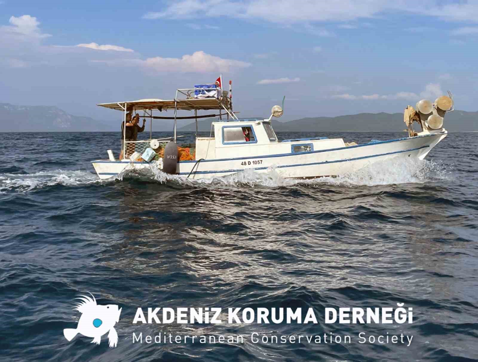 Akdeniz Koruma Derneği’nden ‘Dünya Balıkçılık Günü’ mesajı
