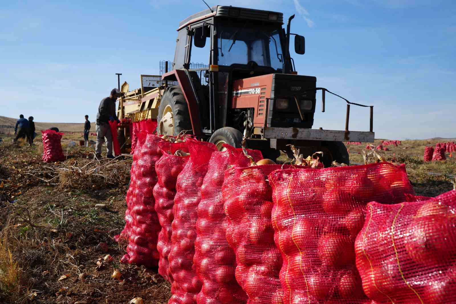 Kuraklık riski büyüyor, çiftçiden uyarı: "Suyu dikkatli kullanmazsak ekmeğimizi kaybederiz"
