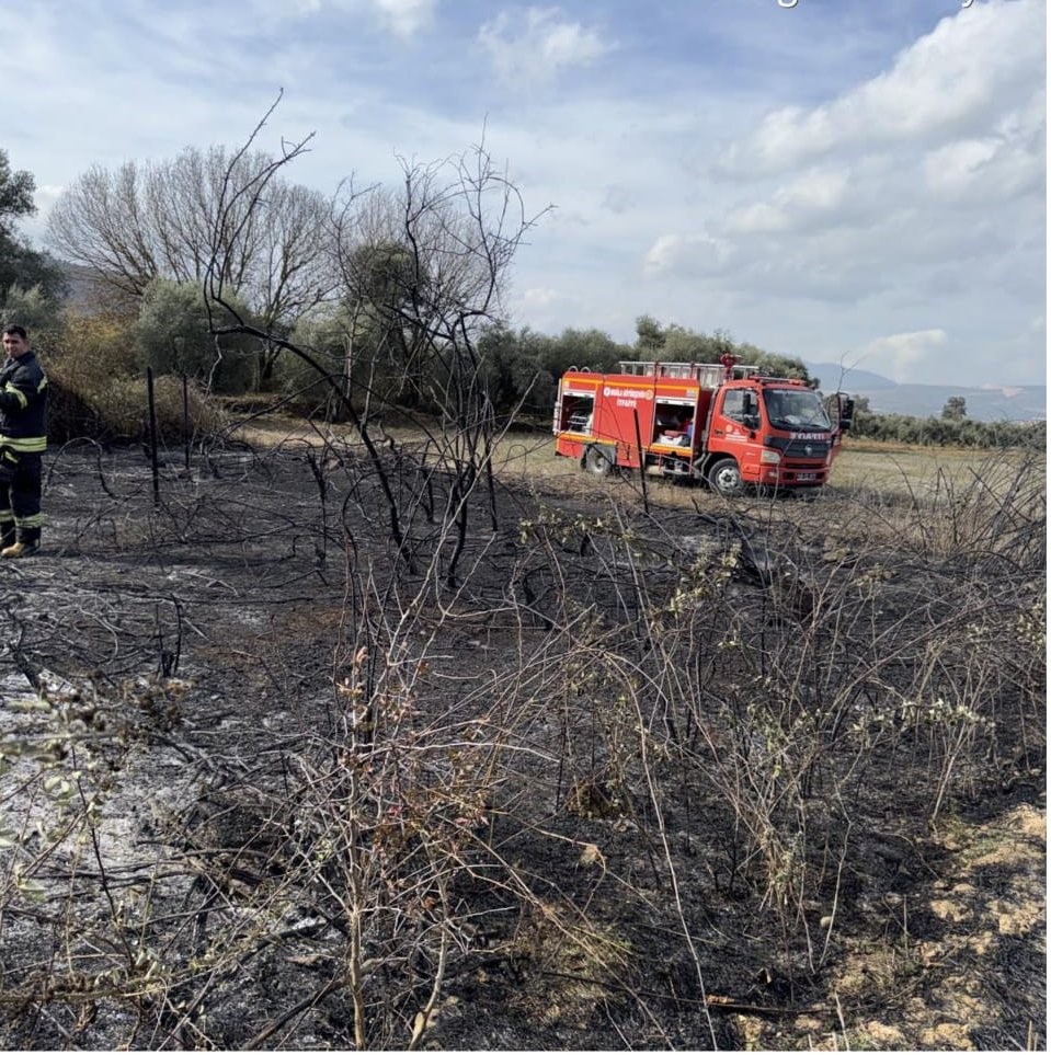 Muğla’da üzüm bağları alevlere teslim oldu
