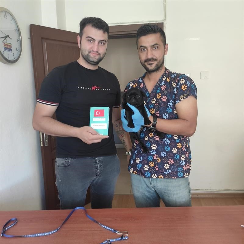 Kedi ve köpeklerin kimliklendirilmesi için son tarih 31 Aralık
