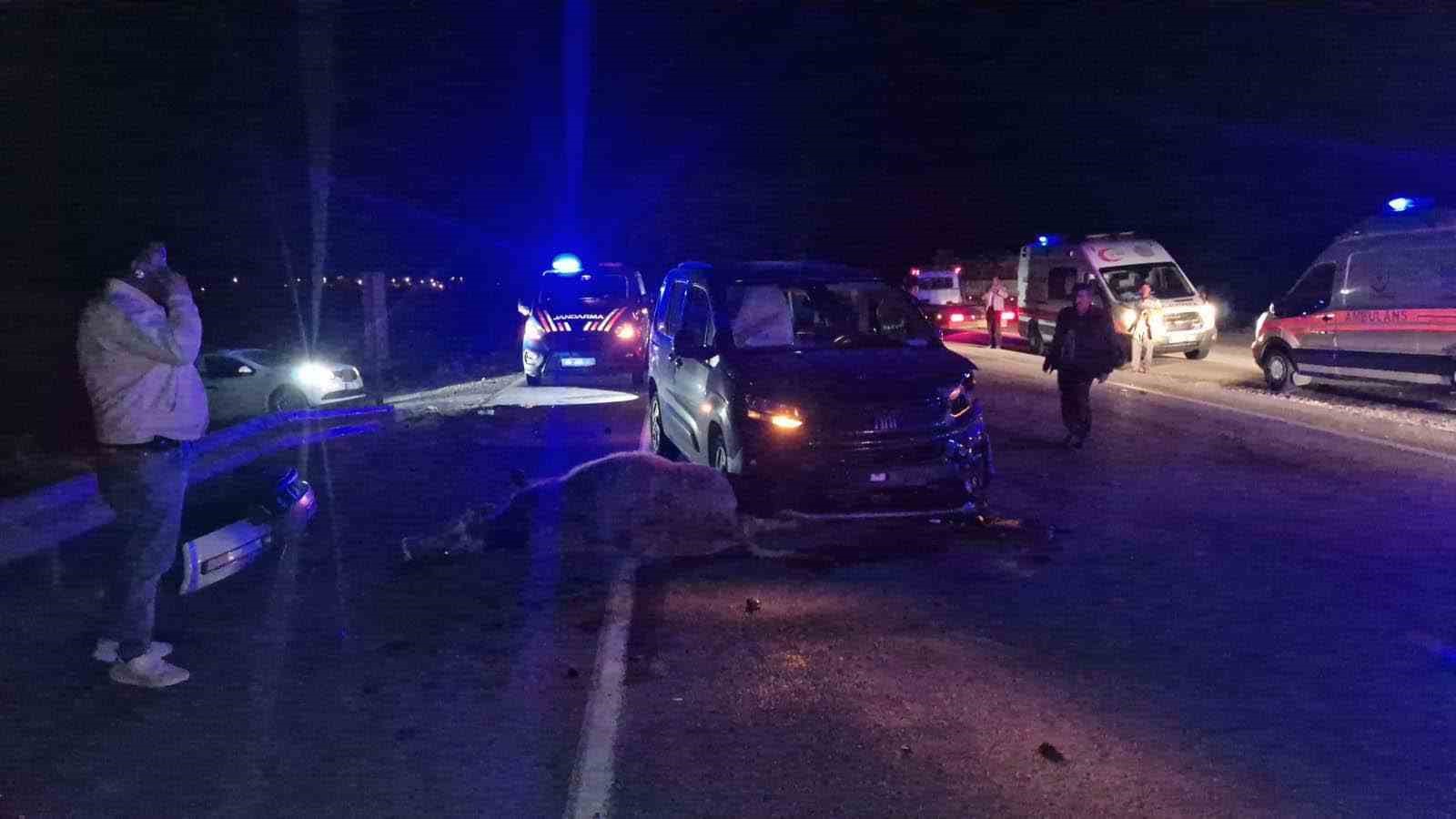 Çorum’da yola çıkan dana kazaya neden oldu: 3 yaralı
