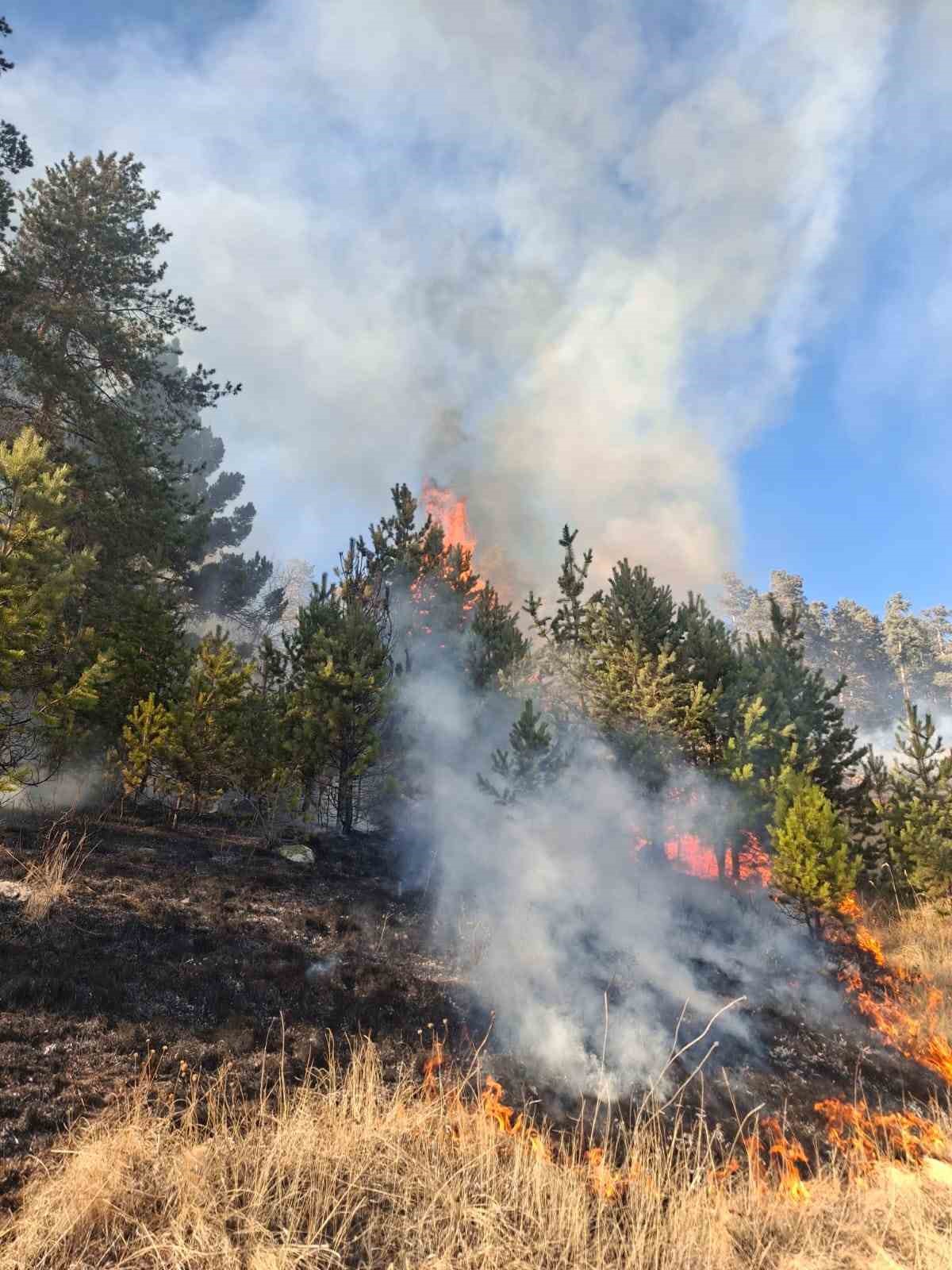 Erzurum’da orman yangını