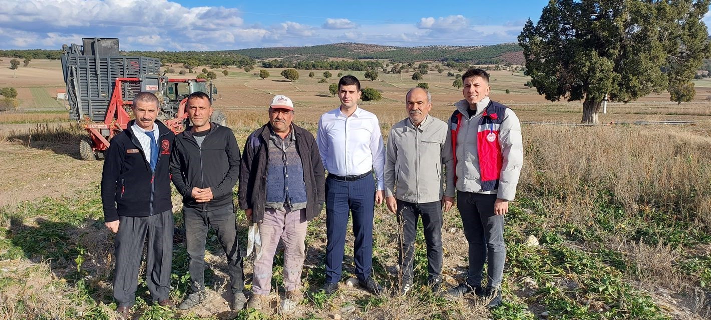 Dumlupınar Kaymakamı Teltik, şeker pancarı hasadını yerinde inceledi
