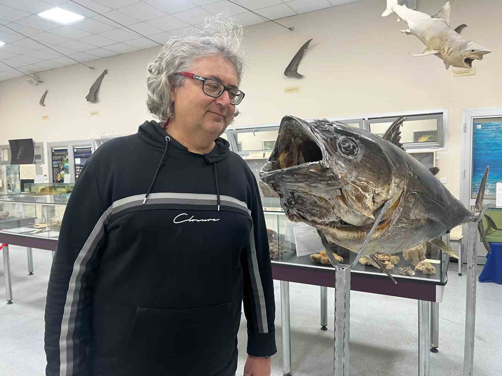 Balık sevdası ‘Deniz Canlıları Koleksiyon Merkezi’nde hayat buldu