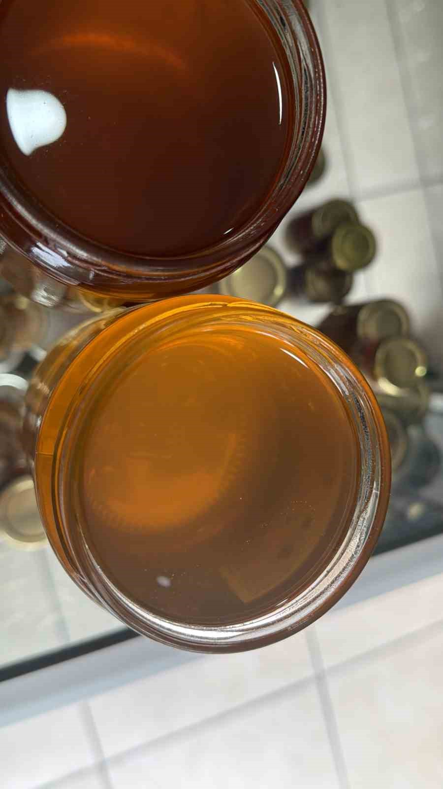 Coğrafi işaretli kestane ve orman gülü balları raflardaki yerini aldı