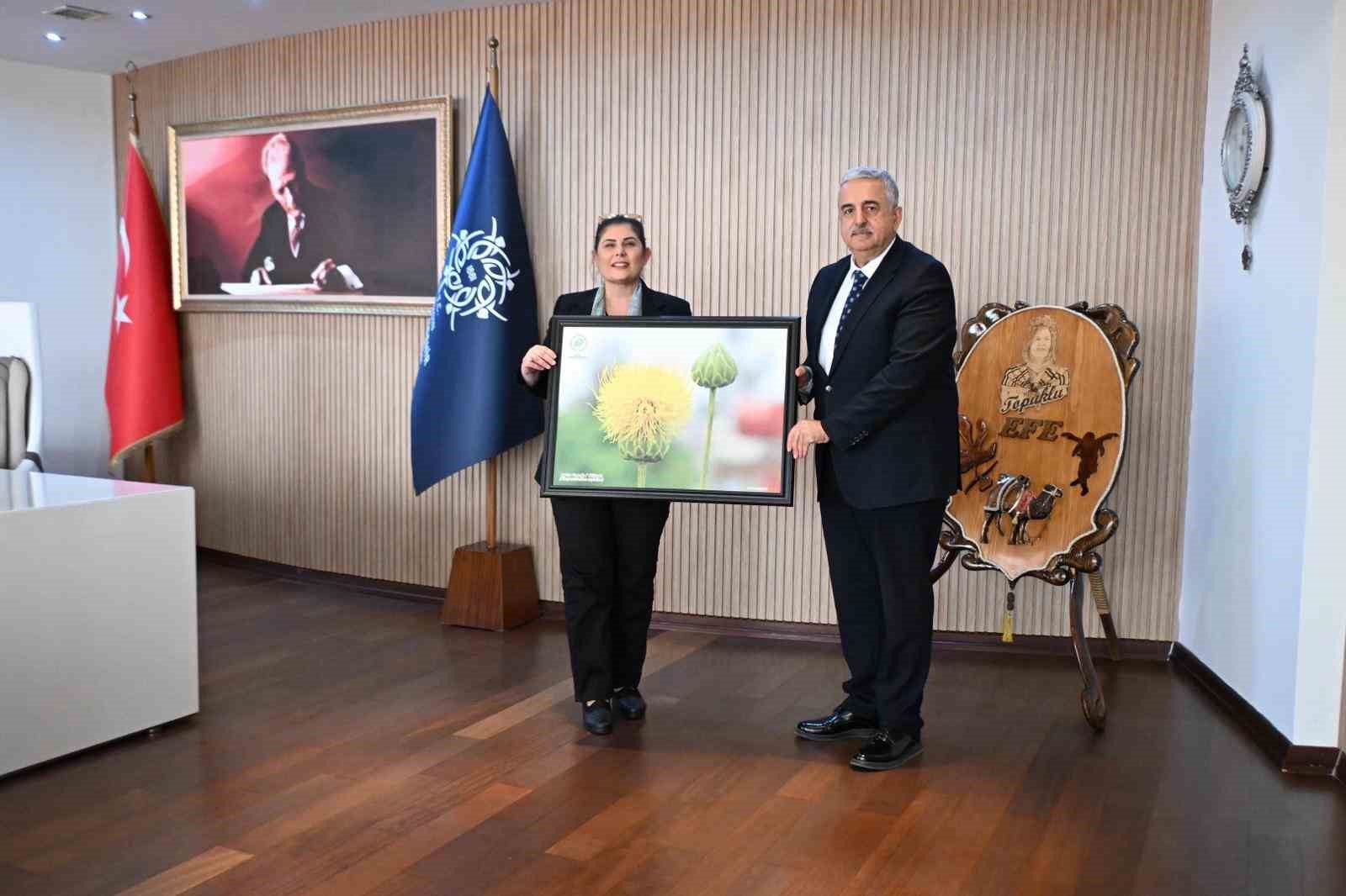 Sokak hayvanları için doğal yaşam alanı oluşturulacak