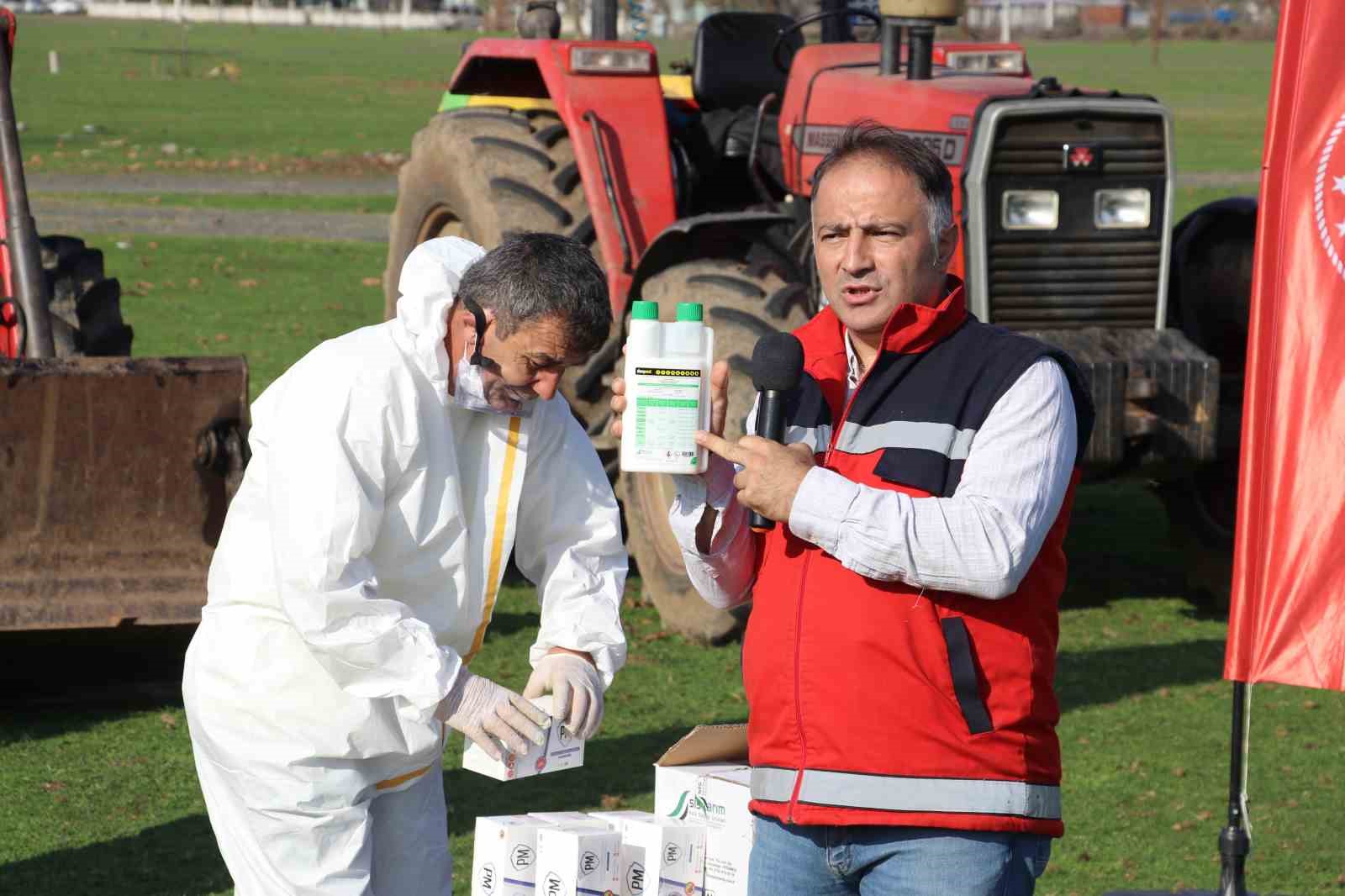 Kahverengi kokarca ile mücadele: 850 hane, 23 kamu alanı ve 623 ahır ilaçlandı