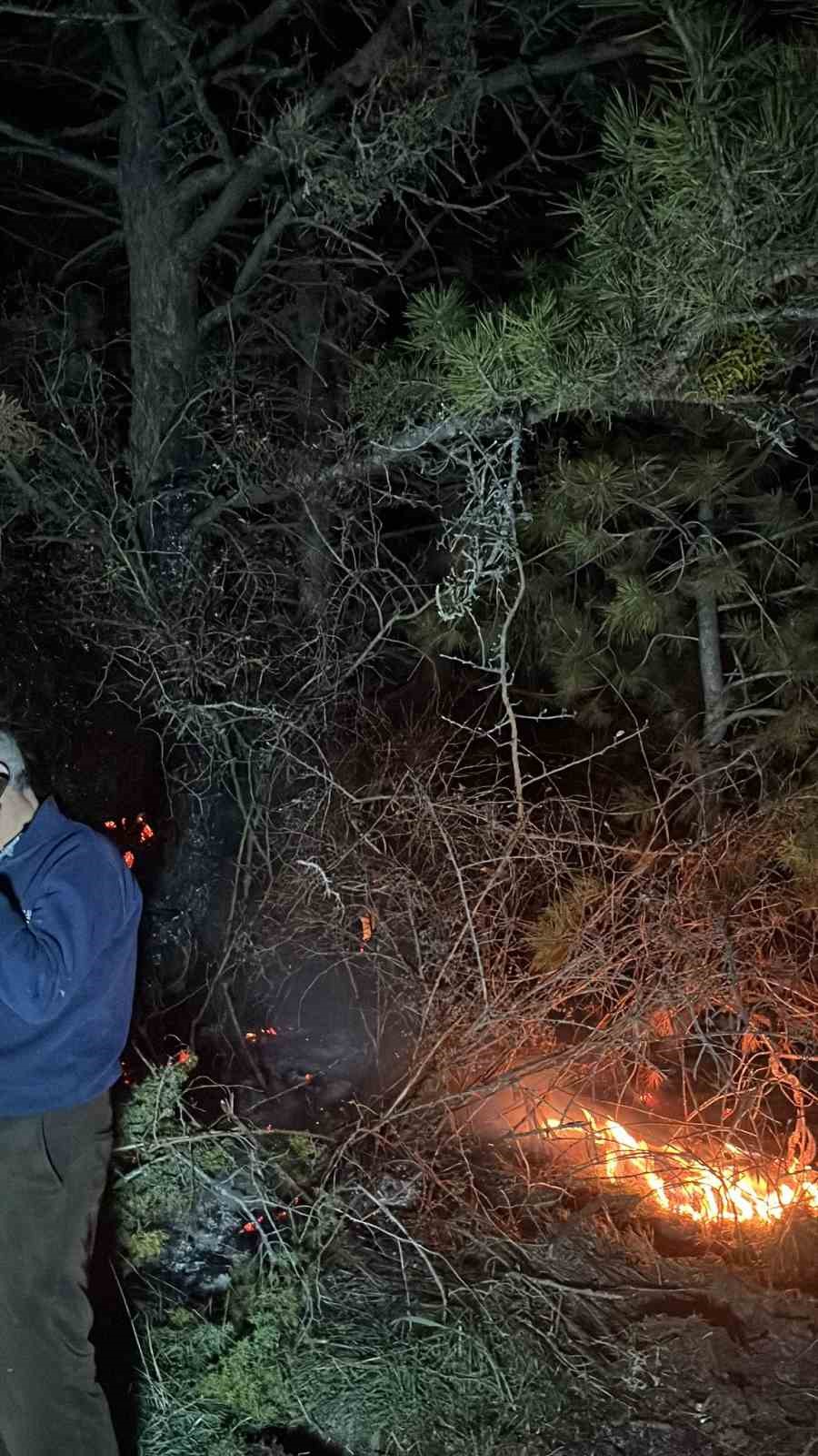 Bolu’da ormanlık alanda yangın
