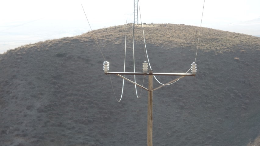 Van’da korkunç manzara: Düşen enerji hattı yaban hayvanlarını öldürdü