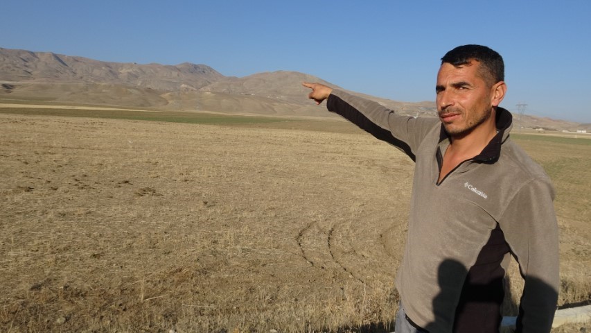 Van’da korkunç manzara: Düşen enerji hattı yaban hayvanlarını öldürdü