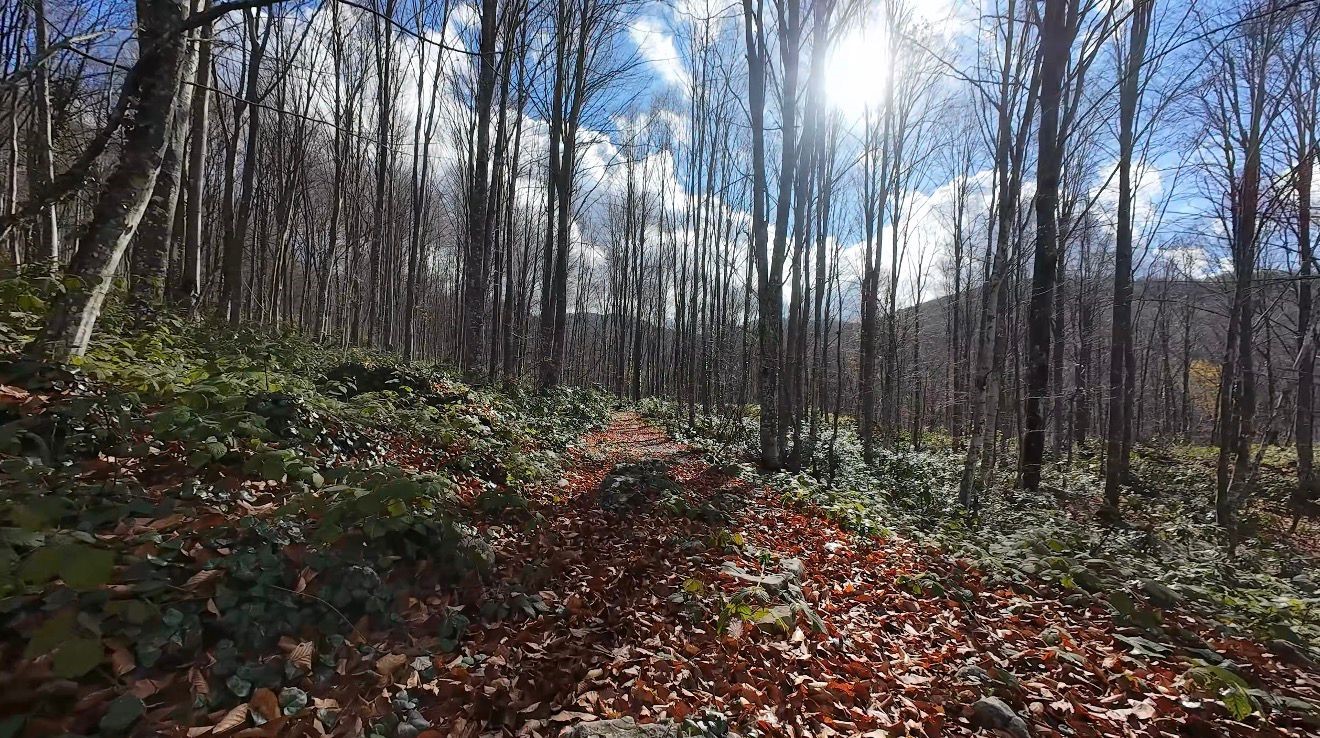 İstanbul’un yanı başında sonbahar rotası