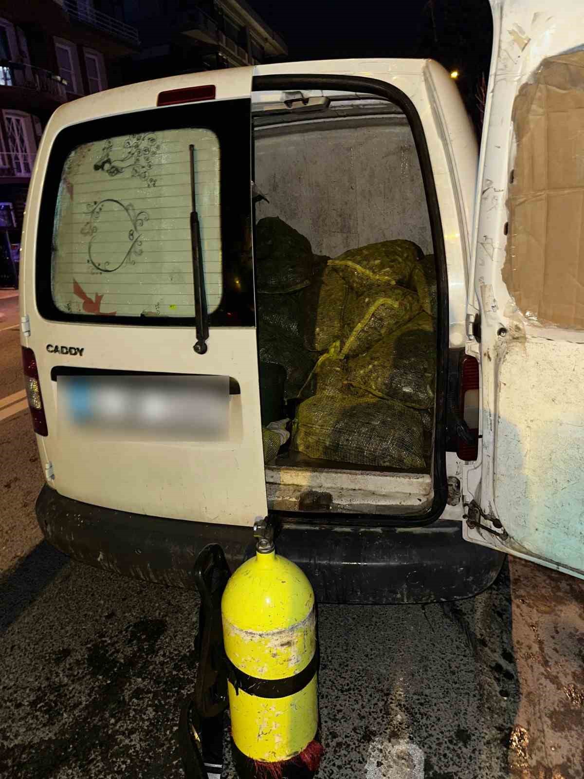 İstanbul’da 2 ton 350 kilogram kaçak midye ele geçirildi