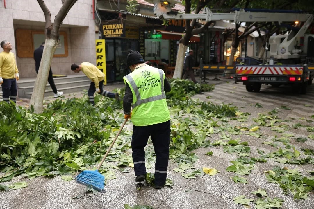 İncirliova Sevgi Yolu’ndaki ağaçlara bakım