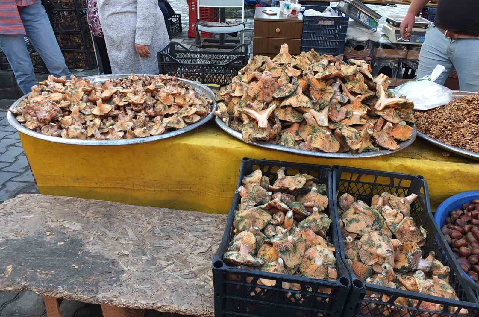 Balıkesir’de yağmur yağdı, mantar fışkırdı
