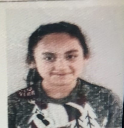 Tüfekle oynarken kız arkadaşını öldüren çocuk dağda yakalandı
