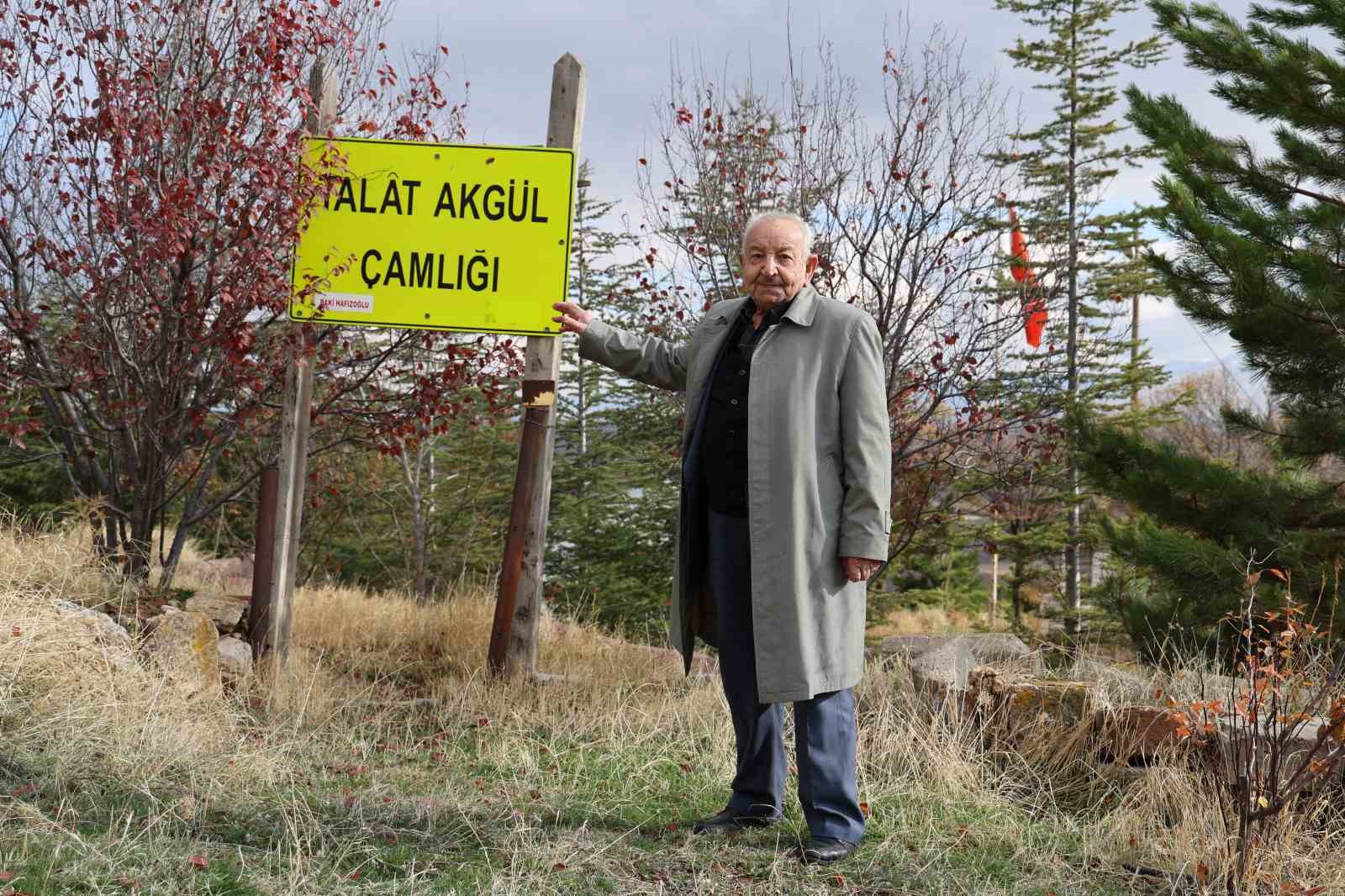 Yıllar önce gölgelenecek ağaç yoktu, şimdi ise ormanlık alana dönüştü
